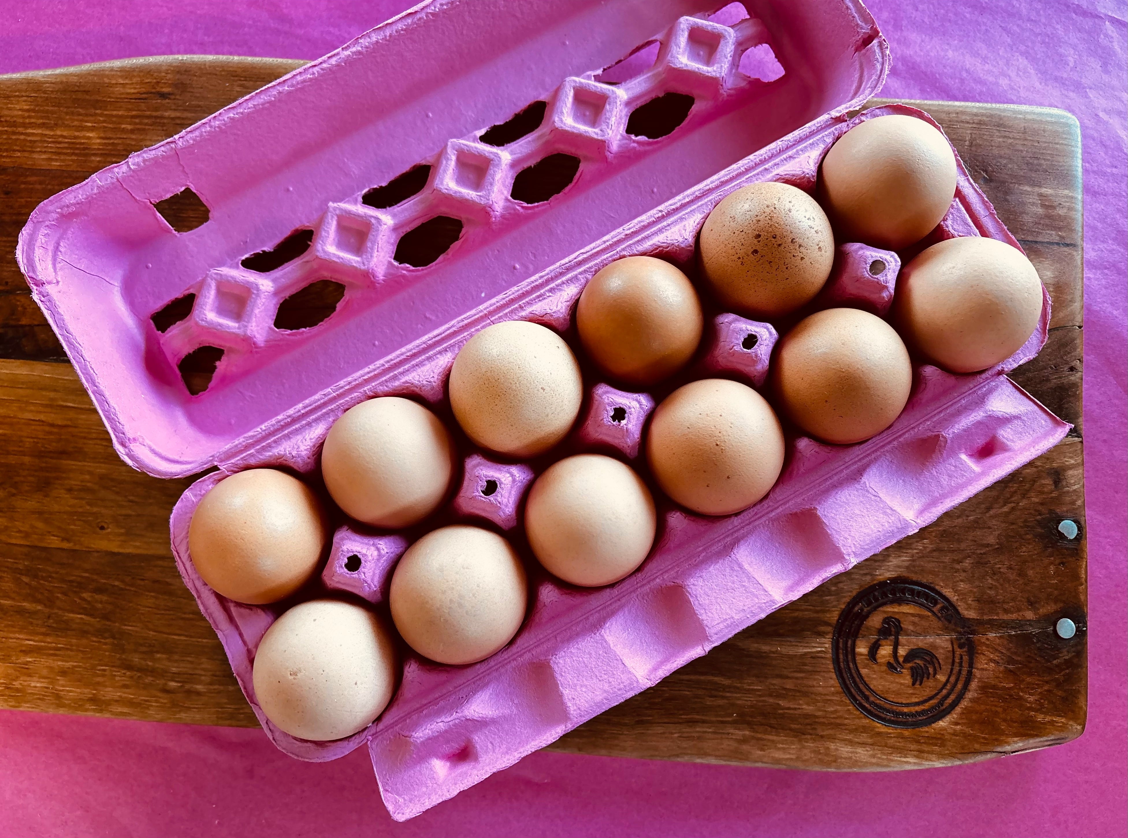 Pasture-Raised Eggs – Blackbird Farms