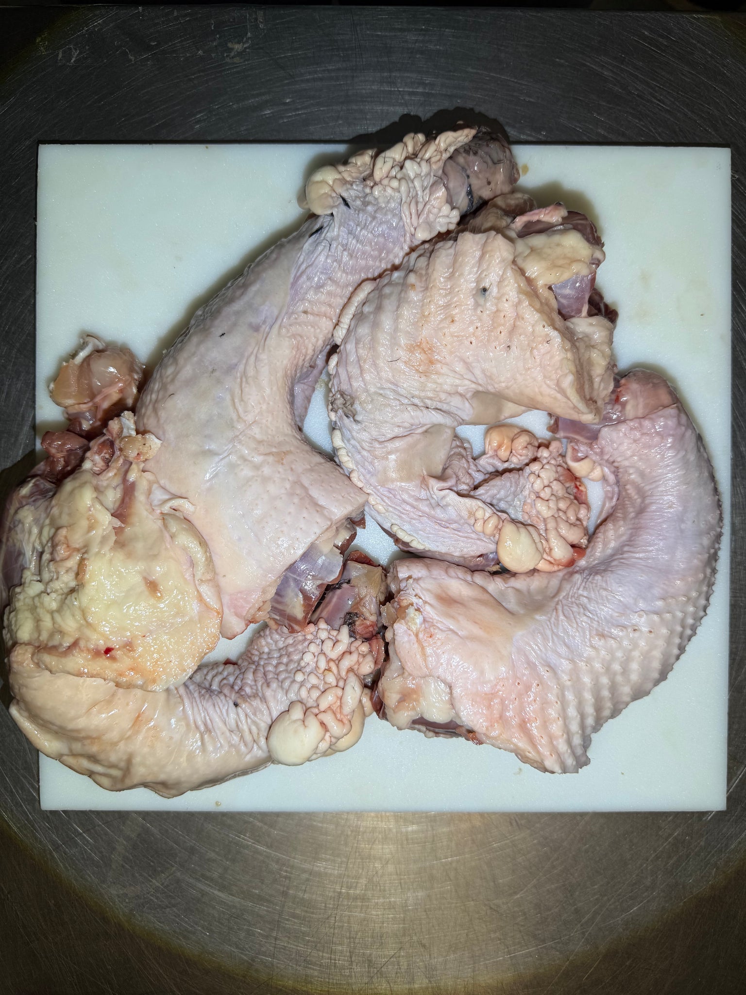 Turkey Necks